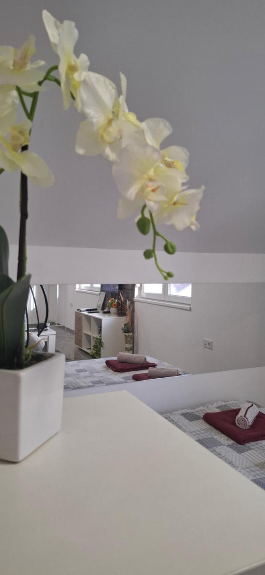 Apartments Ivanovic Center City Bajina Basta Dış mekan fotoğraf